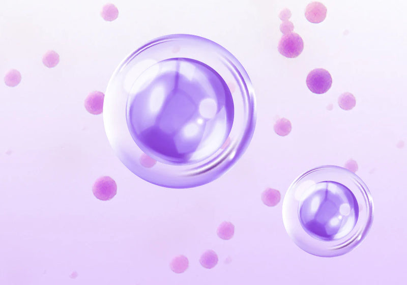High-Concentration Bakuchiol Capsules