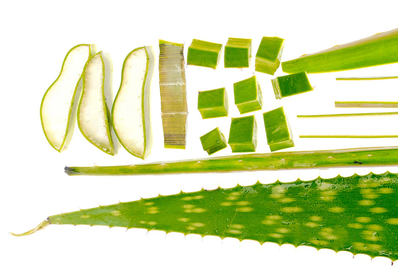Aloe PDRN 50,000ppm