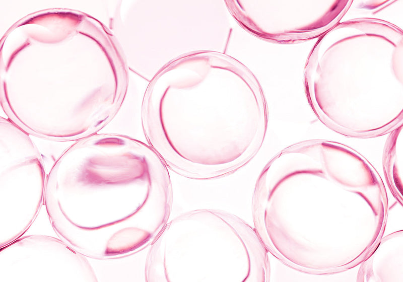 13 Types of Peptide