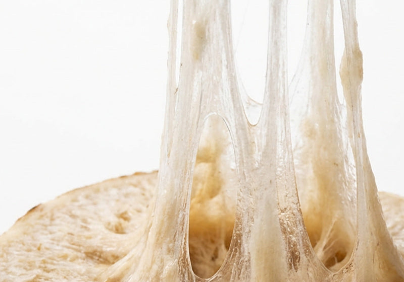 Phyto-Collagen & Phyto-Mucin Complex