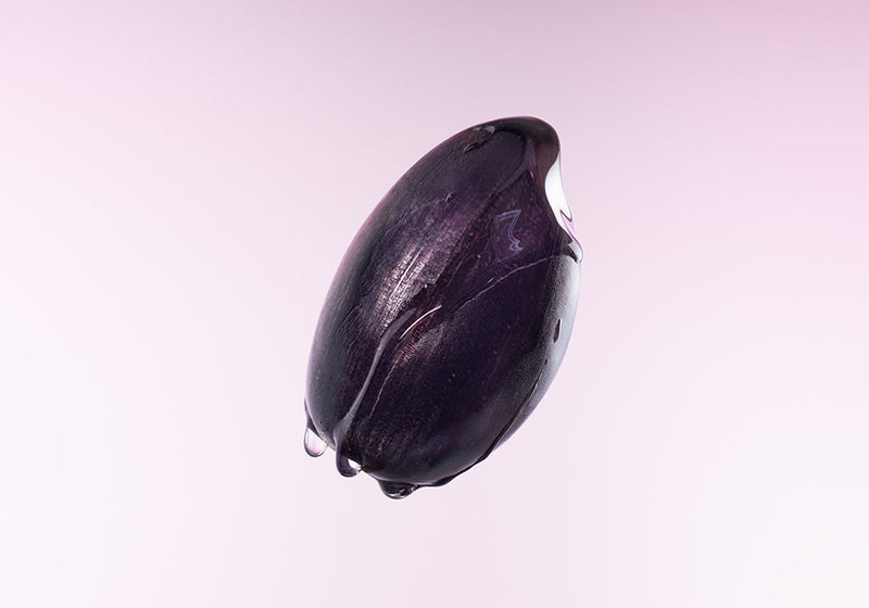 Purple Rice Complex